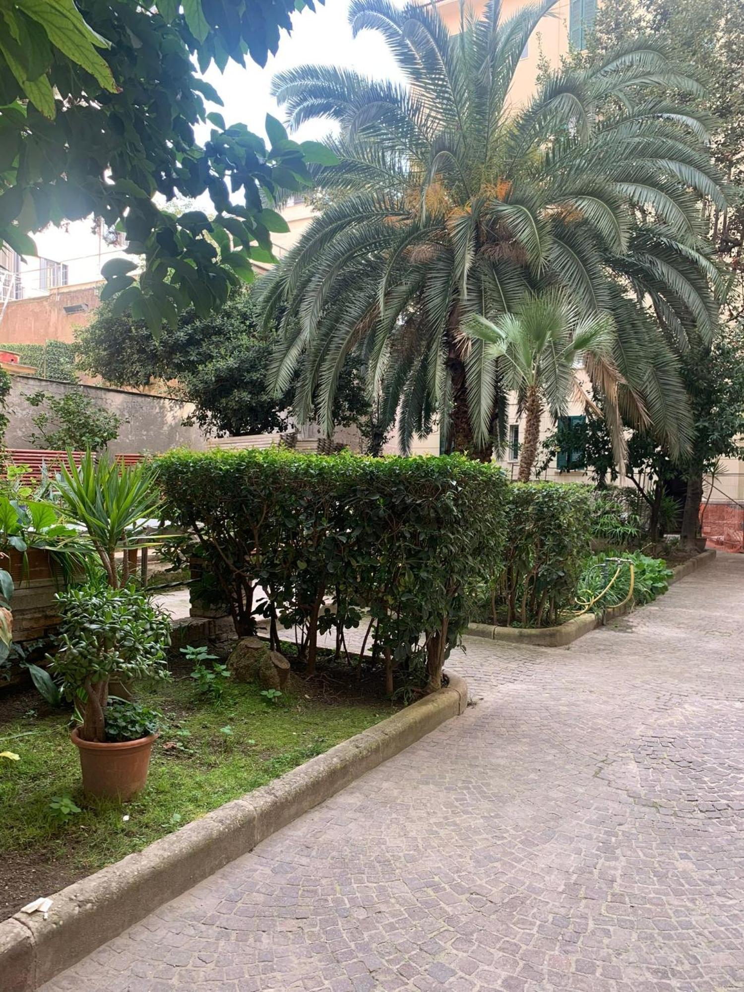 Candia Delizioso Appartamento Vicino Al Vaticano Roma Exterior foto